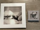 NEW Taylor Swift SIGNED TTPD Vinyl + Deluxe CD * IN HAND * With HEART