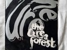Rare Vinyl 7” France -  The Cure ‎– A Forest / In between days