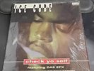 ICE CUBE “CHECK YO SELF” VINTAGE 1993 Record