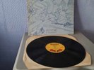 AGNES STRANGE - STRANGE FLAVOUR - HARD / BLUES ROCK -  LP RECORD