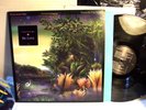 FLEETWOOD MAC LP 