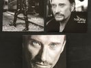 JOHNNY HALLYDAY MA VERITE Coffret 2xLP + LIVRE QUASI NEUF