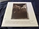 Pixies LP Surfer Rosa Vinyl Original UK 1988 NM
