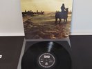 Holy Fire by Foals Vinyl Reissue in Good Shape