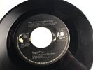 Rare 1986 Canada Rockabilly 45 *Iggy Pop* Real Wild Child  Bowie Produced A&M NM