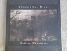 CLANDESTINE BLAZE ‎– Falling Monuments (Black Vinyl) Black Metal
