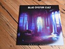 Blue Öyster Cult ... Ghost Stories LP (Black) Neuwertig