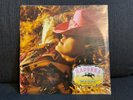 madonna   maxi 45t neuf scellé music