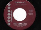THE CHARADES 45RPM '64 SKYLARK FLAMINGO KILLER TEEN DOO WOP VERSION M- VINYL