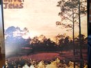 SILVER JEWS - Starlite Walker LP Orig 1994 Promo Sheet DRAG CITY Pavement NM/NM