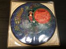 Disneyland Main Street Electrical Parade 1977 Picture Disc 7