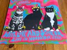We Are Scientists With Love and Squalor Live in Woodstock 1969 LRSD