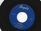 GARAGE SURF EXOTICA INSTROS 45 - SHAN-TONES -   SHEBA   - HEAR 1963 PA. ANGELA