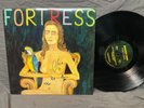 Miniature Tigers fortress LP SIGNED Indie Alternative Rock Modern Art Records