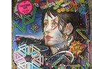 Todd Rundgren - A Wizard, A True Star 1973 LP, Album, Promo, Die Bearsville BR 2