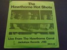2 Record Set The Hawthorne Hot Shots  ( Beach Boys) Jackalope Records J ID:91755