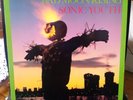 SONIC YOUTH - Bad Moon Rising LP Orig 1985 Homestead Blast First 1st Branca