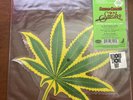 Cheech & Chong “Up In Smoke” Shaped Vinyl Picture Disc (RSD 2019)