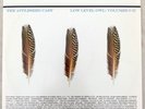 The Appleseed Cast – Low Level Owl: Volumes I + II - 2006 First Pressing, x/1000