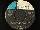 BOB CAIN: why, when you get what you want / everything MINARET 7