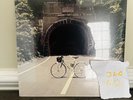 The Back Seat Lovers When We Were Friends Coke Bottle Clear Vinyl LP SHIPS TODAY
