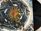 Matt Corby - Telluric Vinyl Very Rare Near Mint