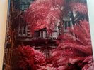 Foals LP Everything Not Saved Will Be Lost Collectors Edition Part 1 & 2 Vinyl