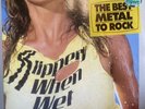 Bon Jovi Slippery When Wet Vinyl  Original Banned Cover  Import