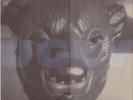Ugly Casanova - Diggin' Holes (Yellow) (Used LP)