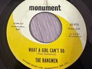 THE HANGMEN - WHAT A GIRL CAN’T DO - Rare US 1965 GARAGE PUNK 45 EX+