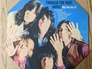 Rolling Stones Vinyl Album - Through the Past Darkly