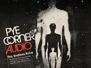 PYE CORNER AUDIO THE ENDLESS ECHO NEW VINYL RECORD