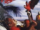 JIMMY BUFFETT: SONGS YOU KNOW BY HEART - LP vinyl *BRAND NEW*