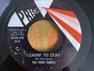The Tribu Terrys Leavin’ To Stay My Shadow Is You  US 7” Ohio Garage Rock
