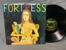 Miniature Tigers fortress LP SIGNED Indie Alternative Rock Modern Art Records