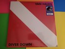 NEW - Van Halen - Diver Down - Vinyl LP Record - Free ShipN