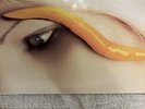 Thirteenth Step By A Perfect Circle Vinyl