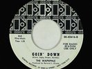 Garage Psych 45 - Waphphle - Goin' Down/I Want You - Elektra