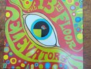 The Psychedelic Sounds Of The 13th Floor Elevators Decal LIK 19