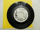 45 RPM, Harry Hellings & The Radials - Tale of a Crystal Ship, Highland 1968 NM