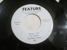 THE BEAU GENTRY / Dream Girl - Just In Case / FEATURE 45 Vinyl Record