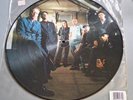 FLOGGING MOLLY VINYL LP - WITHIN A MILE OF HOME - PICTURE DISC 2005 - EX+