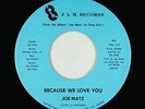 Private Soft Rock 45 - Joe Matz - Because We Love You - JLM - VG+ obscure