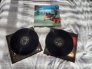 Prodigy - The Fat Of The Land [VINYL]