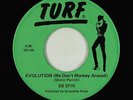 Punk Power Pop 45 - BB Spin - Evolution - Turf - VG++