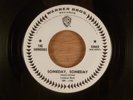 The Shindogs  Someday, Someday/Why  Promo Garage  1965 Warner Brothers