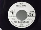 The Barbarians,Joy 290,