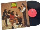 STEEL PULSE: True Democracy Vinyl LP 1982 Elektra E1-60113 VG/VG+
