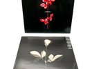 Depeche Mode Violator 1990 Intercord MUTE  LP, Schallplatte, Made in W. Germany