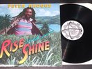 Vintage reggae lp PETER BROGGS Rise and Shine 1985 Real Authentic Sound EX